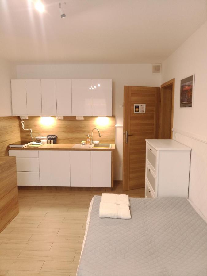 Luksusowy Gaj Apartament By Apartamenty Na Dni Wrocław Buitenkant foto